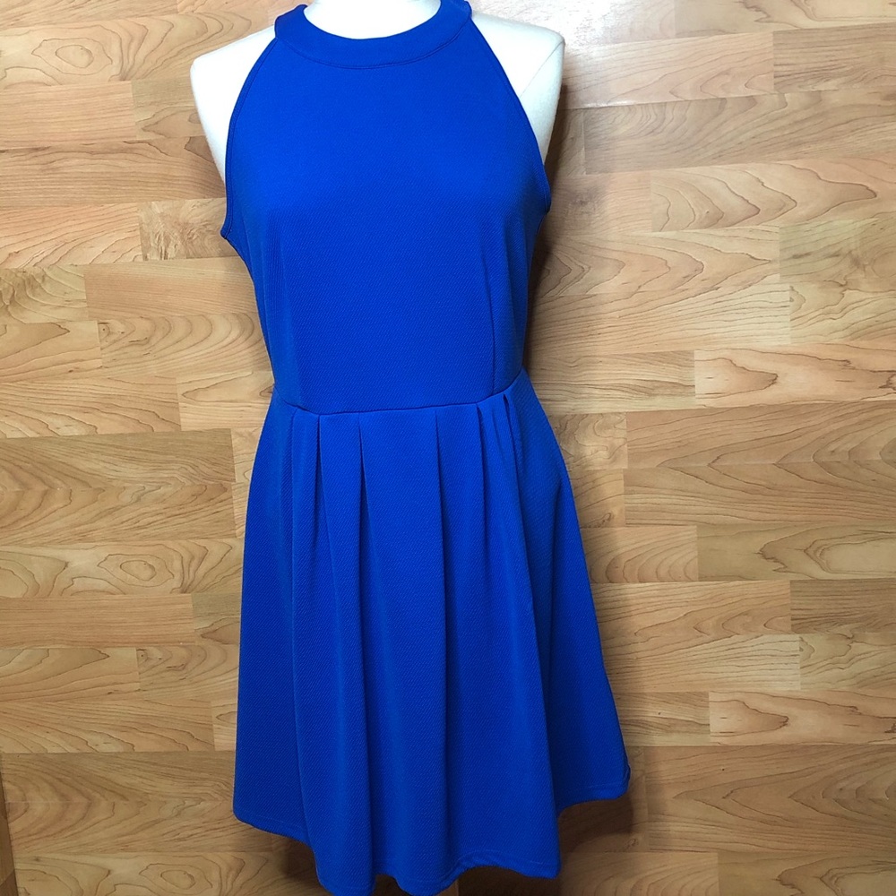 NEW WITH TAGS SIZE LARGE Royal Blue Skaterdress